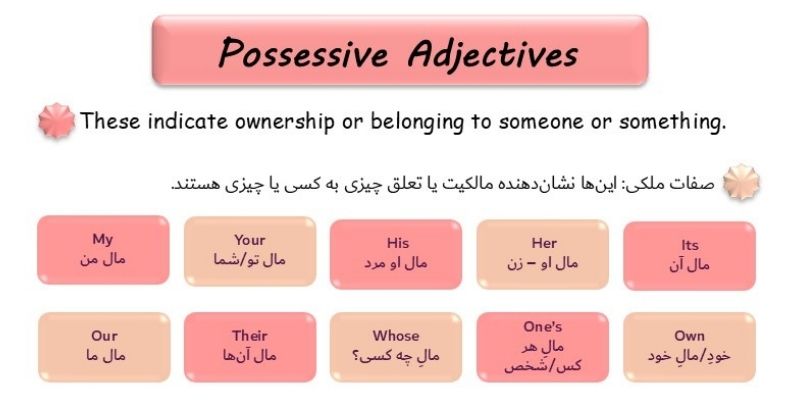 Types Of Adjectives And How To Use Them_QuickWithUs (6) صفات ملکی (Possessive Adjectives)