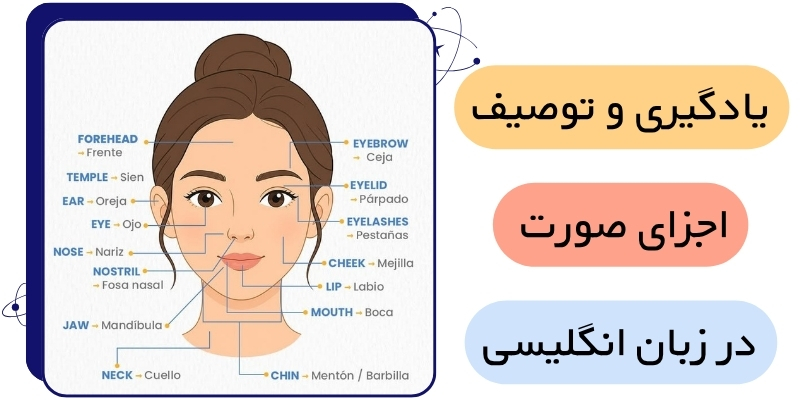 Describing_people_s_appearance_QuickWithUs (3) پرکاربردترین صفات برای توصیف چهره در انگلیسی