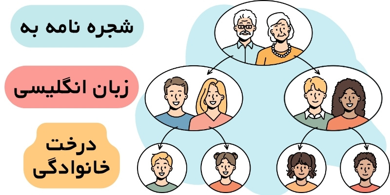 Talking_about_your_family_QuickWithUS (10) شجره نامه انگلیسی(درخت خانوادگی)